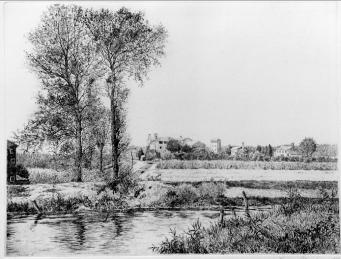 Tiziano Marchioni I due alberi acquaforte 